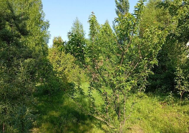 земля снт Оборинское р-н Кировский фото