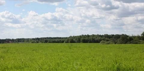 земля р-н Курганинский г Курганинск снт Березка ул Абрикосовая 318 фото 1