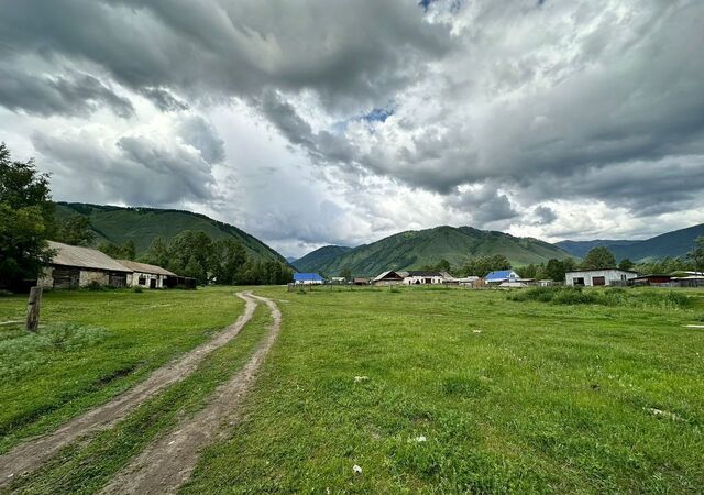 ул Зеленая Усть-Кокса фото