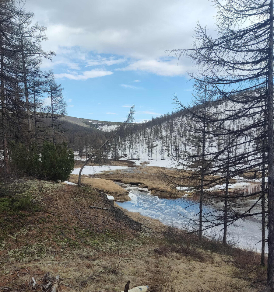 квартира г Красноярск ул Мичурина 14а фото 3