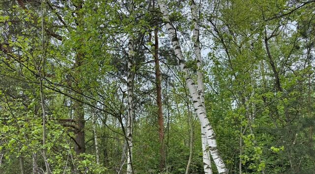 городской округ Богородский г Электроугли Железнодорожная фото