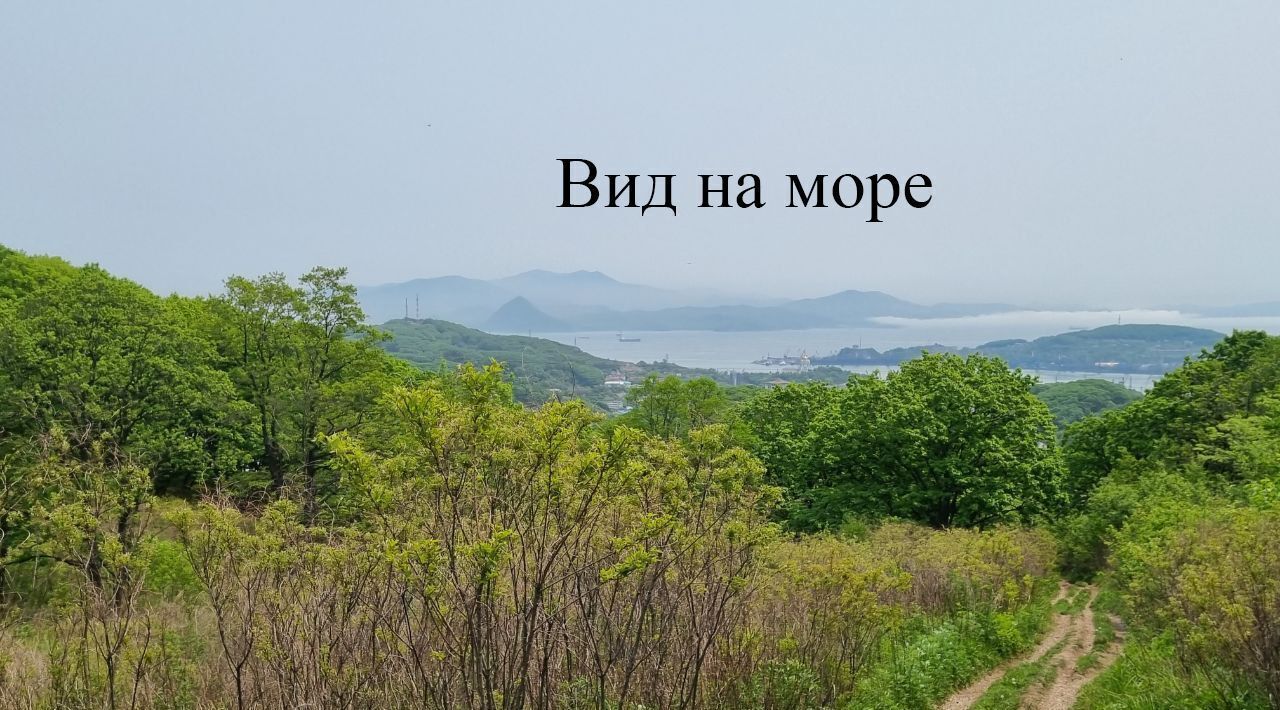 земля г Находка ул Канадская 8 фото 4