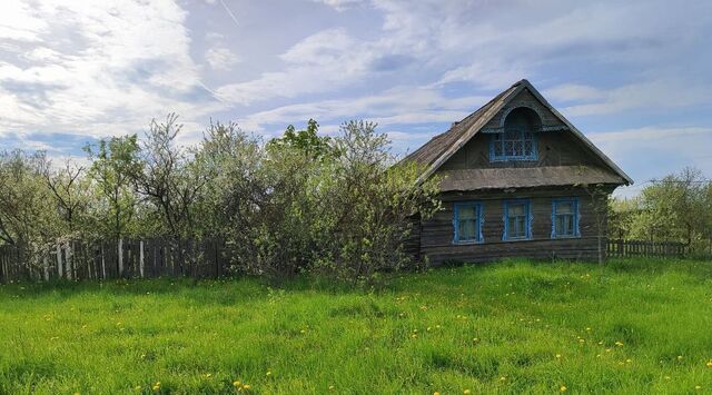 Трубичинское с/пос, 162 фото