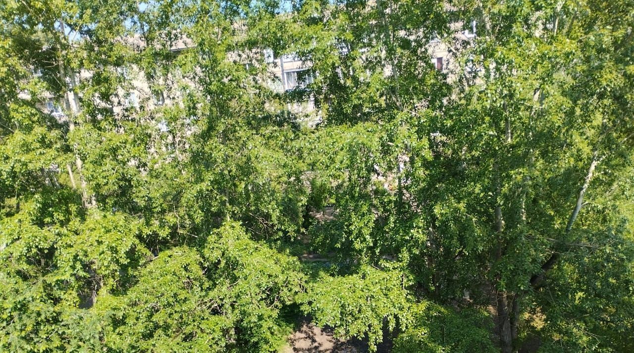квартира г Красноярск р-н Ленинский ул Рейдовая 57а фото 10