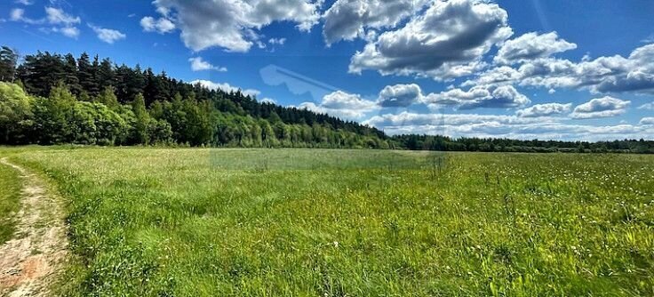 земля г Чехов территориальный отдел Стремиловский фото 4