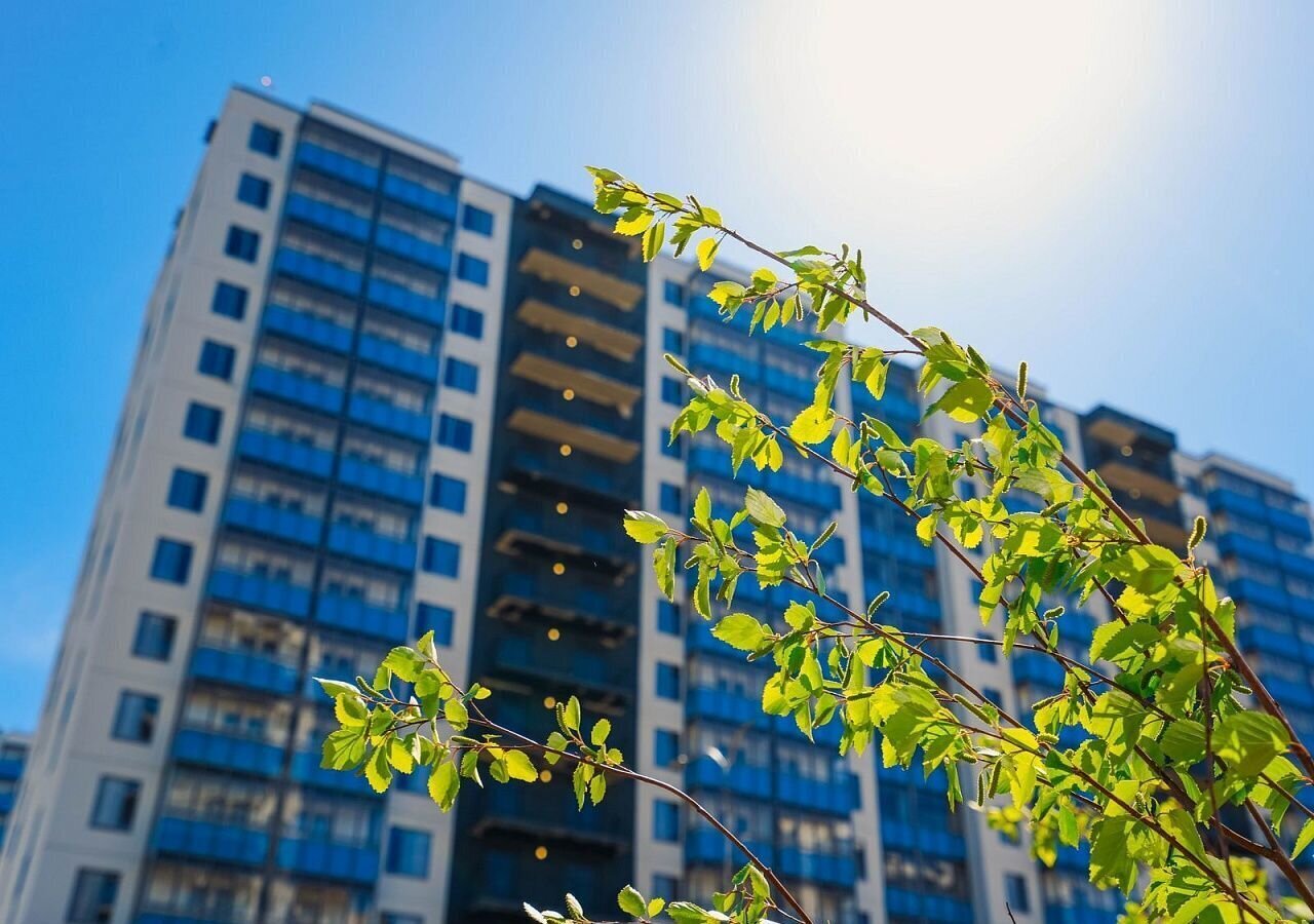 квартира р-н Всеволожский г Мурино ул Графская 6к/4 Девяткино, Муринское городское поселение фото 18
