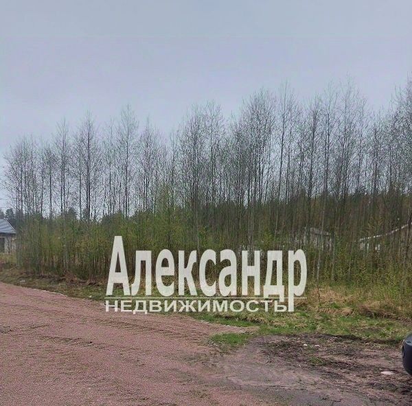 земля р-н Выборгский г Выборг р-н Сайменский пр-д Береговой фото 2