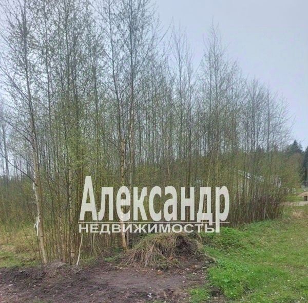 земля р-н Выборгский г Выборг р-н Сайменский пр-д Береговой фото 3