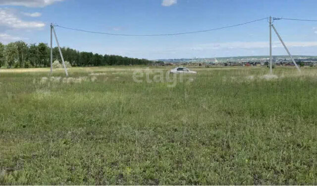 с Луговое ул Заречная фото