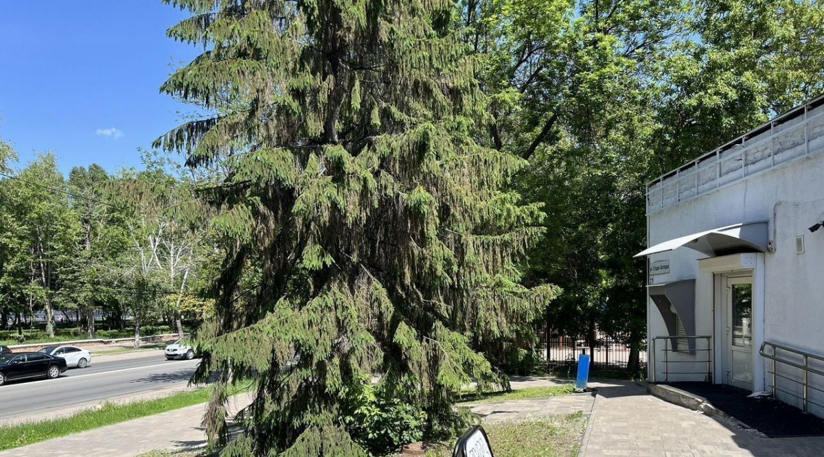 свободного назначения г Самара Советская ул Стара Загора 27 фото 2