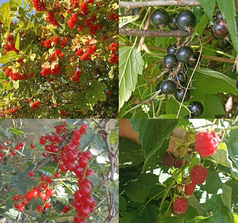 земля г Чебоксары р-н Ленинский пр-кт И.Я.Яковлева 31а фото 13
