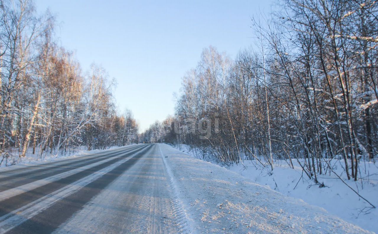 земля г Тобольск р-н мкр Усадьба ул Лесная фото 2