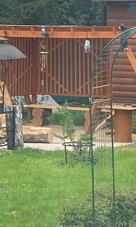 дом городской округ Богородский г Ногинск снт Локомотив 37 км, 50, Черноголовка, Щёлковское шоссе фото 35