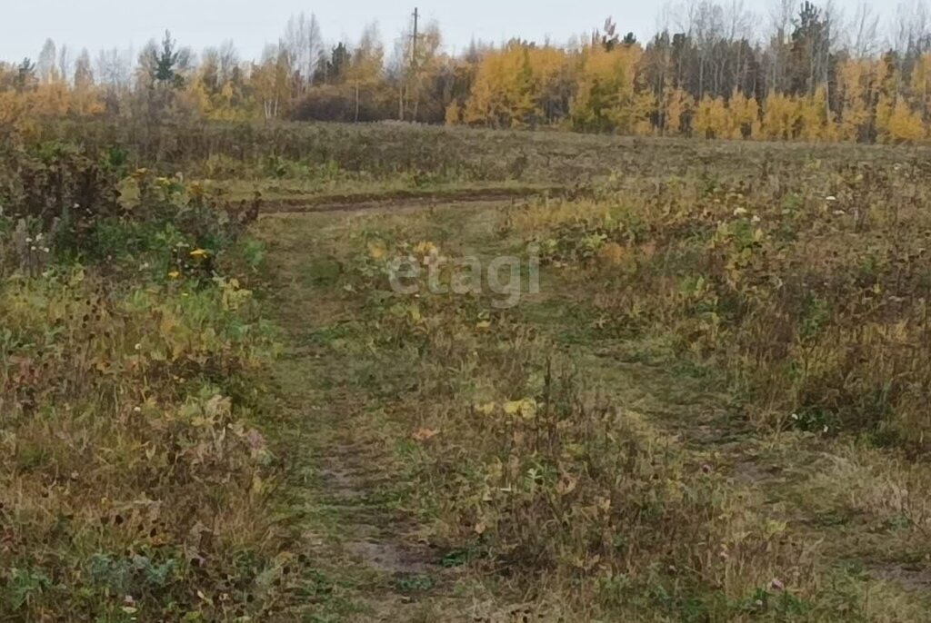 земля г Алапаевск ул Рубиновая фото 2