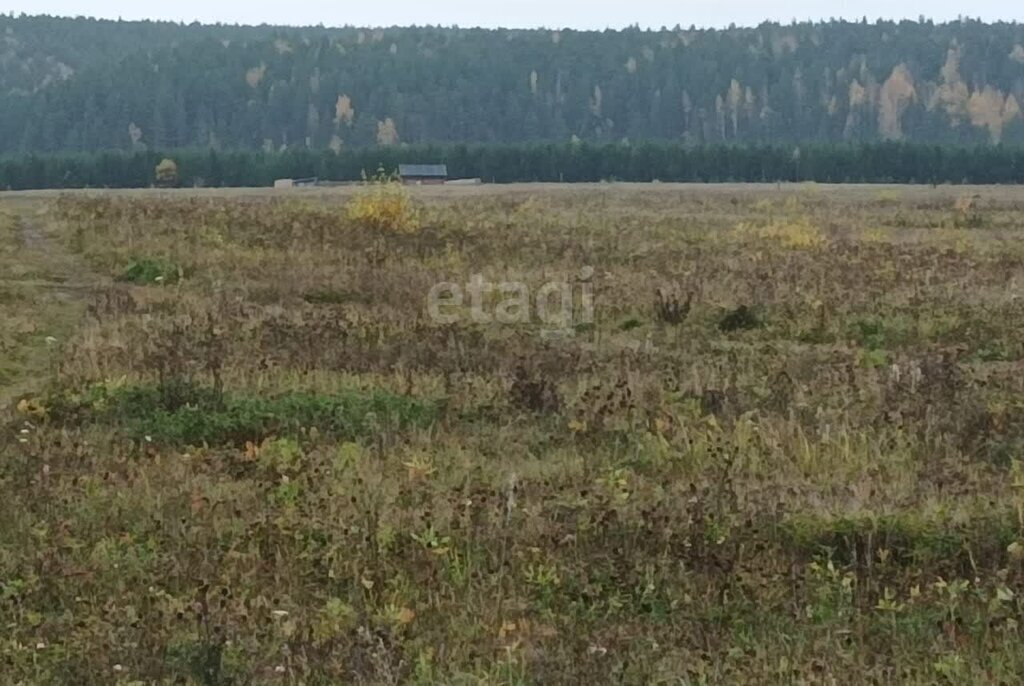 земля г Алапаевск ул Рубиновая фото 5