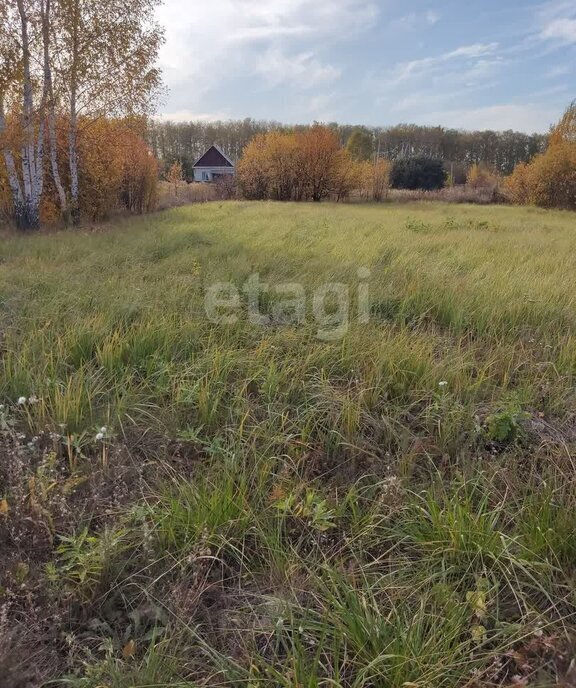 земля г Пенза посёлок совхоза Заря посёлок Совхоз Заря Октябрьский район фото 2