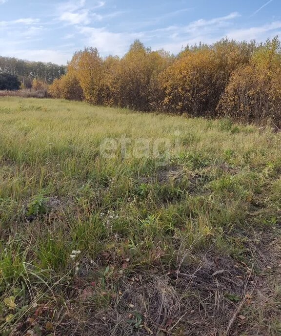 земля г Пенза посёлок совхоза Заря посёлок Совхоз Заря Октябрьский район фото 4