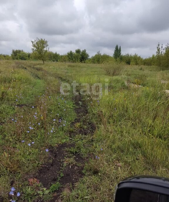 земля г Пенза п Индивидуальная Застройка ЗИФ Октябрьский район фото 3