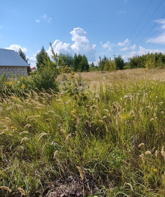 земля г Пенза п Индивидуальная Застройка ЗИФ Октябрьский район фото 4