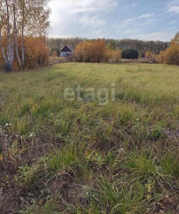 земля г Пенза р-н Ленинский микрорайон Автодром Вираж фото 2