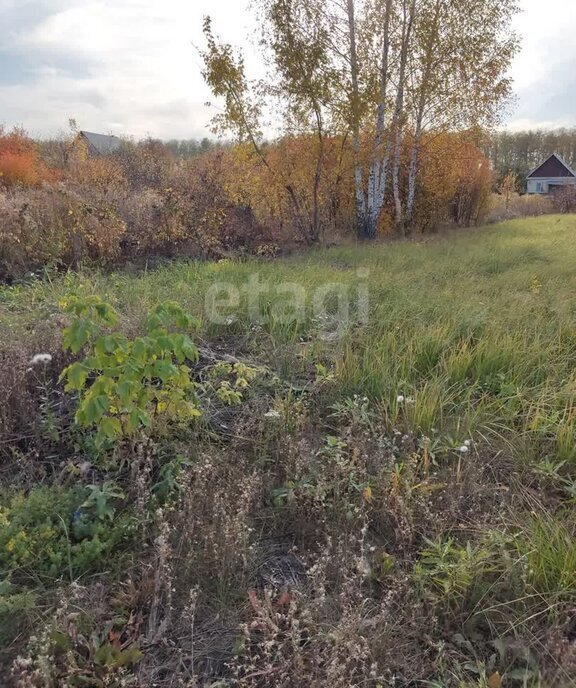 земля г Пенза р-н Ленинский микрорайон Автодром Вираж фото 3