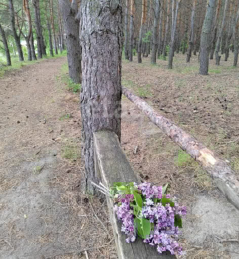 земля г Пенза п Победа р-н Железнодорожный Посёлок Победа фото 7