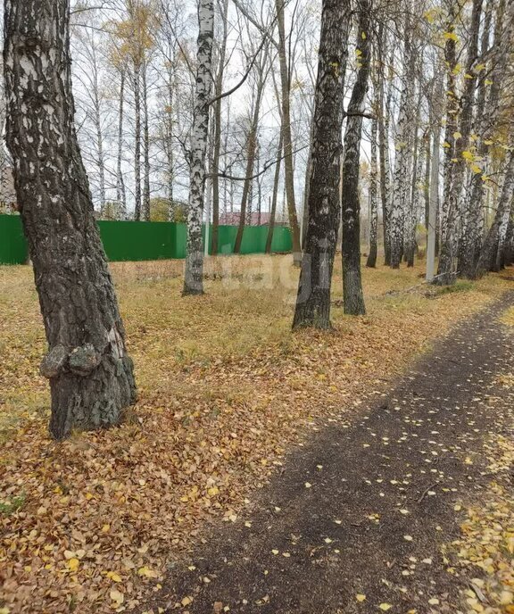 земля г Пенза посёлок совхоза Заря посёлок Совхоз Заря Октябрьский район фото 10