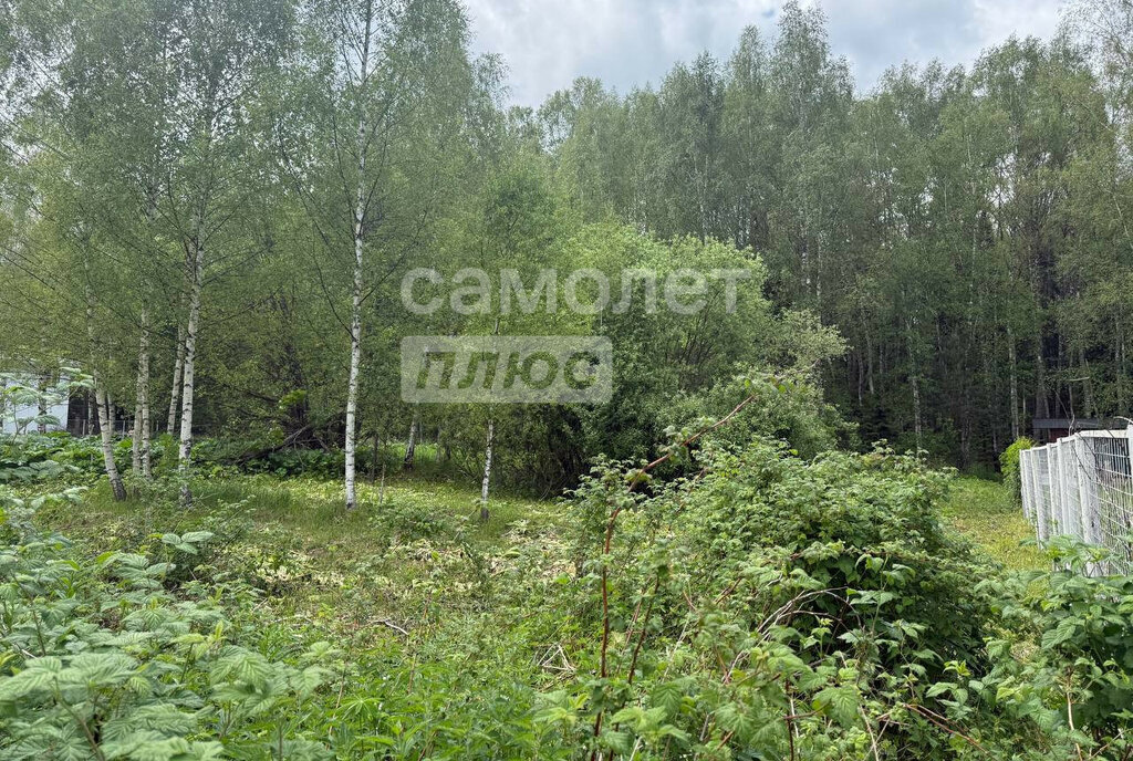 земля г Переславль-Залесский садовое товарищество Лесное фото 6