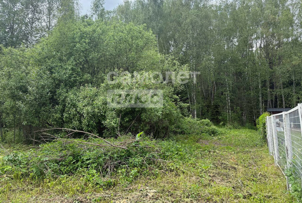 земля г Переславль-Залесский садовое товарищество Лесное фото 8