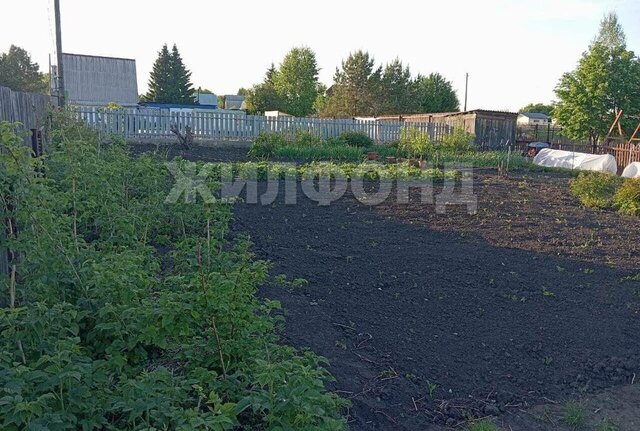 сельсовет, садовое некоммерческое товарищество Ивушка фото
