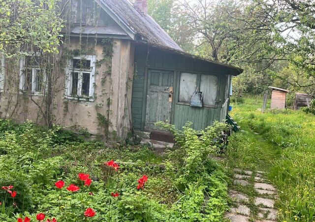 46 км, 138, Можайское шоссе фото