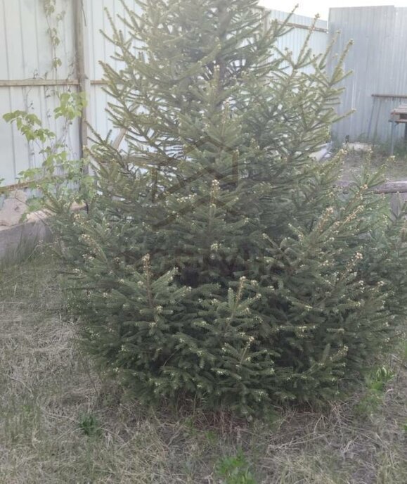 дом г Воронеж р-н Советский Малышево ул Октябрьская 430/3 фото 14