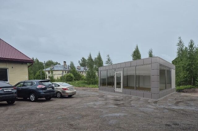 ул Усадебная 1 Каменногорское городское поселение, Выборг фото