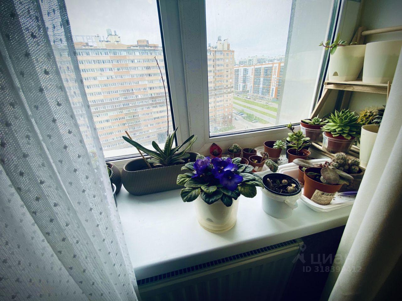 квартира р-н Всеволожский г Мурино б-р Петровский 5 ЖК «Сокол» Муринское городское поселение фото 3