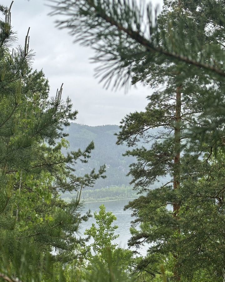 земля г Дивногорск с Овсянка снт Ромашка фото 1