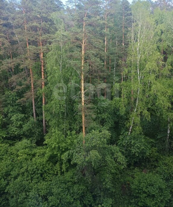 квартира г Новосибирск р-н Советский Нижняя Ельцовка Речной вокзал ул Экваторная 16 фото 7