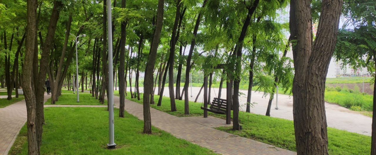 квартира г Ростов-на-Дону р-н Октябрьский ул Дмитрия Петрова фото 8