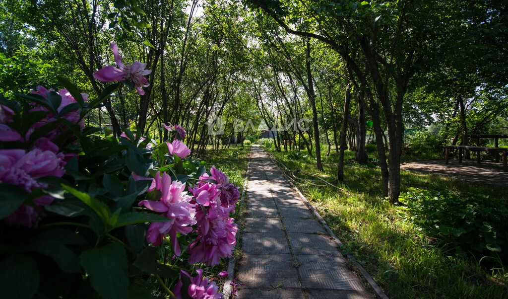 дом г Балаково снт Дары природы ул Садовая 32 фото 19
