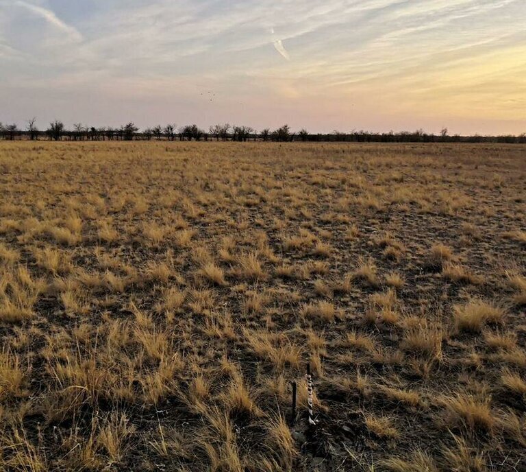 земля г Волгоград р-н Советский ул Кофейная территория село Песчанка фото 1