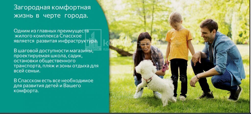 дом г Владимир с Спасское фото 6