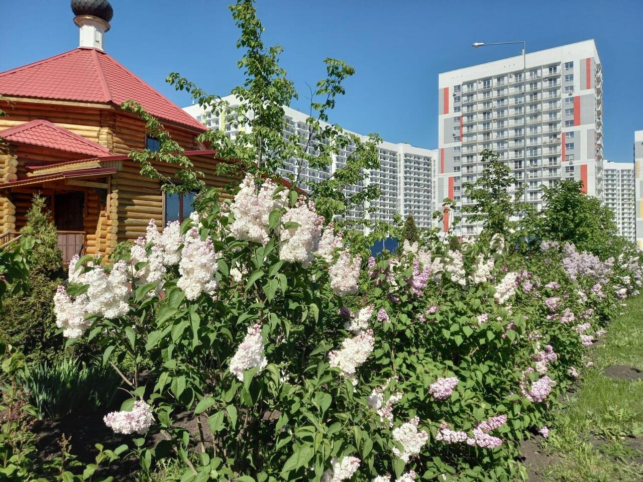квартира г Пенза ул Генерала Глазунова 6 ЖК «Арбековская застава» фото 9