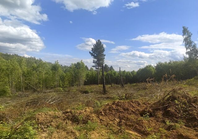 п Еловый Иркутск фото