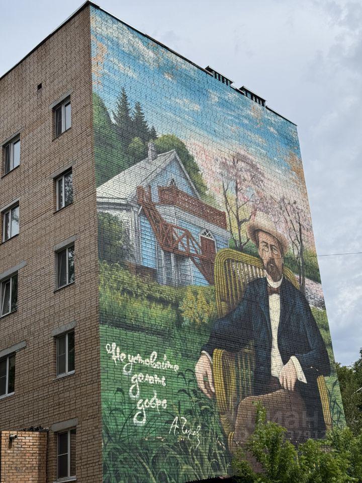 квартира г Чехов ул Чехова 79к/4 фото 37