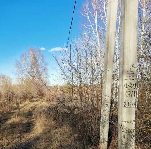 снт Березка Благовещенский район фото