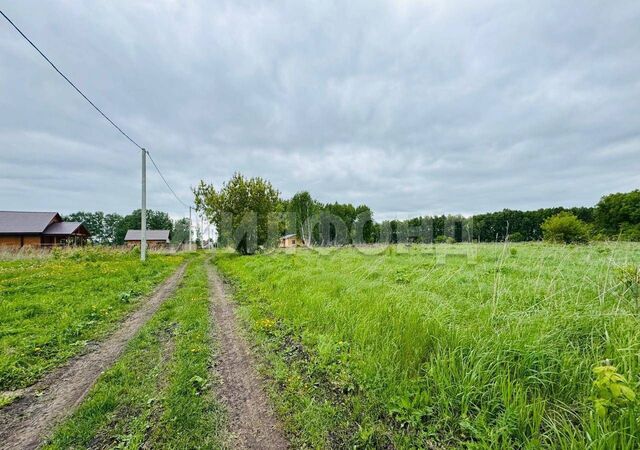 ул Школьная Кемеровская обл. — Кузбасс, Кемерово фото