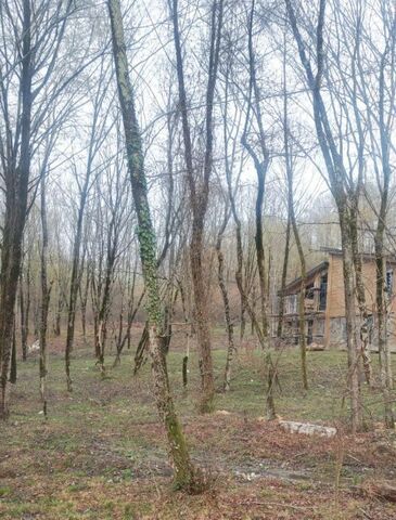 земля Калиновка Сочи, Хостинский внутригородской район фото