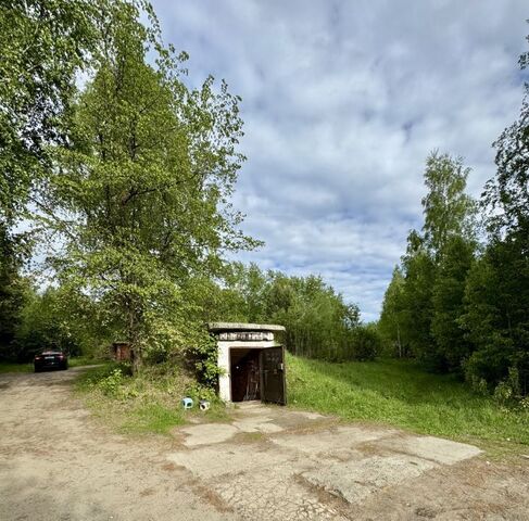 дор Автодорога фото