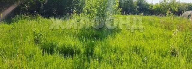 р-н Ленинский снт Золотая осень Площадь Маркса фото