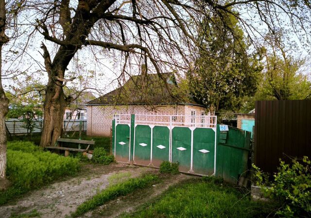 ул Халецкого 81 фото