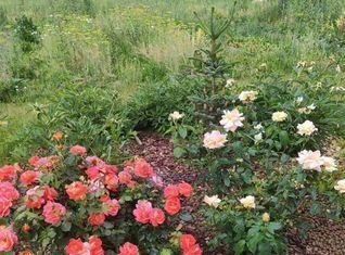 дом г Нижний Новгород д Кусаковка ул Кокшаровская 20 фото 4